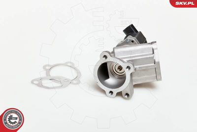 EGR Valve 14SKV039