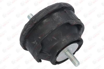 SUPORT MOTOR BIRTH 50123 8