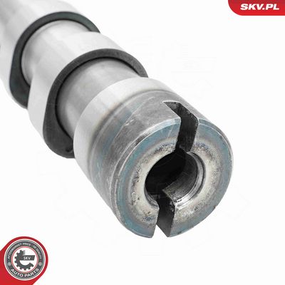 AX CU CAME ESEN SKV 80SKV017 4