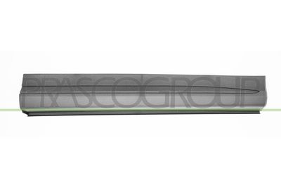 ELEMENTE DECORATIVE/PROTECTIE PORTIERA