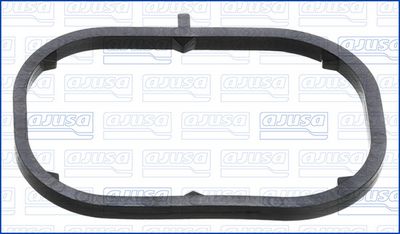 GARNITURA CARCASA TERMOSTAT