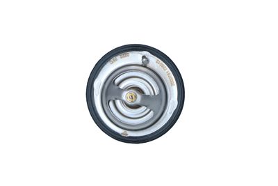 TERMOSTAT LICHID RACIRE NRF 725012 8