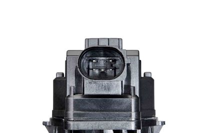 AGR-VENTIL BorgWarner 712075D 2