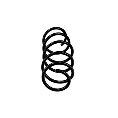 ARC SPIRAL EIBACH R10111 13