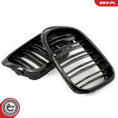 GRILA RADIATOR ESEN SKV 66SKV161 2