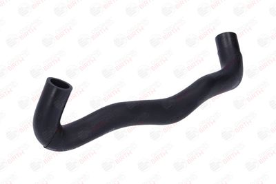 FURTUN ULEI BIRTH 56020 12