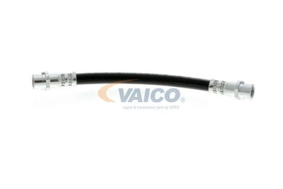 FURTUN FRANA VAICO V104136 12