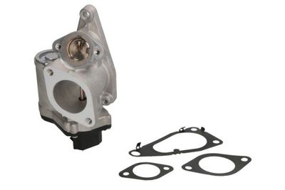 EGR Valve ENT500061