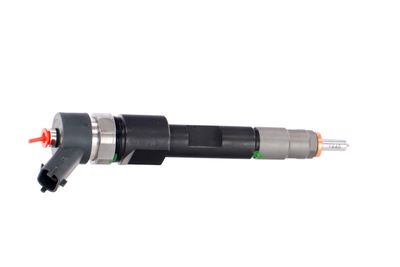 INJECTOR REMANTE 002003001043R 38