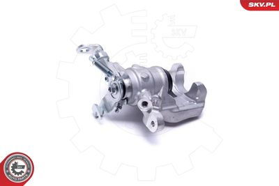 Brake Caliper 55SKV843