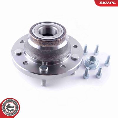 SET RULMENT ROATA ESEN SKV 29SKV304 1