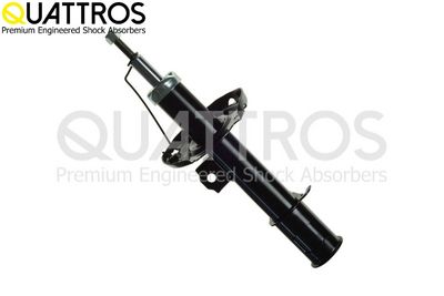 AMORTIZOR DAVID VASCO FL3756 1