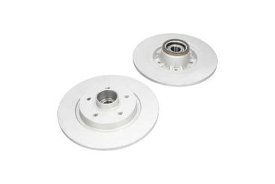 DISC FRANA Kavo Parts BR10010C 13