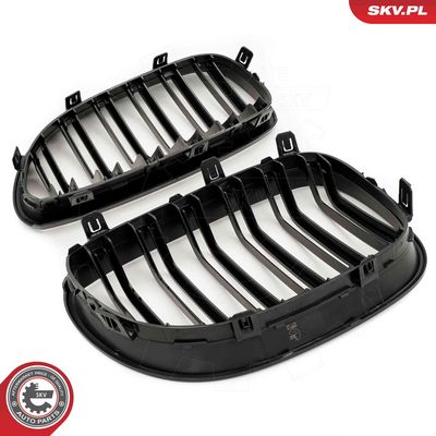 GRILA RADIATOR ESEN SKV 66SKV173 3