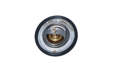 TERMOSTAT LICHID RACIRE NRF 725065 8