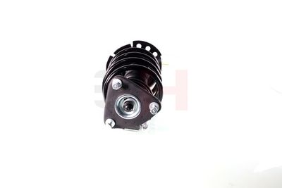 ANSAMBLU TELESCOP ARC GH GH352547C05 20