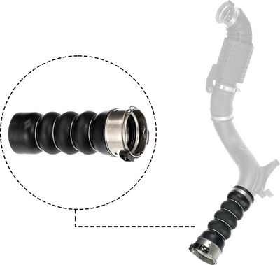 FURTUN EAR SUPRAALIMENTARE