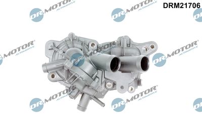 Water Pump, engine cooling DRM21706