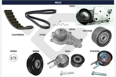 SET CUREA TRANSMISIE CU CANELURI HUTCHINSON MK22