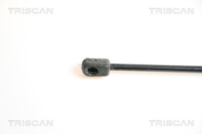 Amortizor capota TRISCAN 8710 65103