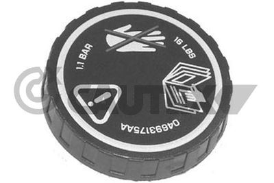 CAUTEX 955479 Расширительный бачок  для MINI MINI (R50, R53) Cooper S