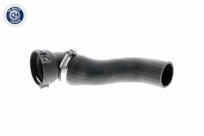 FURTUN EAR SUPRAALIMENTARE VAICO V201620 1