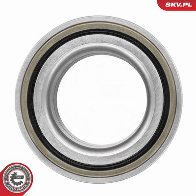 SET RULMENT ROATA ESEN SKV 85SKV050 3