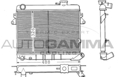 Радиатор, охлаждение двигателя AUTOGAMMA 100255 для FIAT ARGENTA