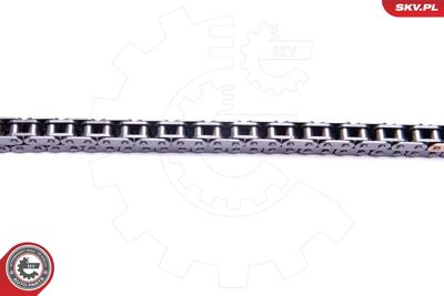 Timing Chain Kit 21SKV220