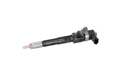 INJECTOR REMANTE 002003002244R 8
