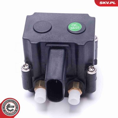 SUPAPA SISTEM SUPRAALIMENTARE ESEN SKV 93SKV813 2