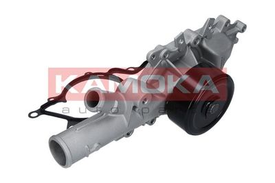 Water Pump, engine cooling T0190