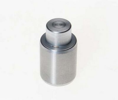 PISTON ETRIER FRANA BUDWEG CALIPER 233003