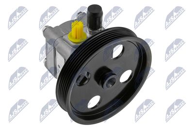 Pump, styrservo NTY SPW-VV-004