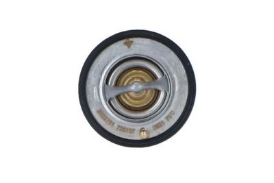 Thermostat, coolant 725107