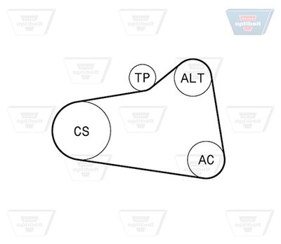 SET CUREA TRANSMISIE CU CANELURI OPTIBELT 6PK906KT1 1