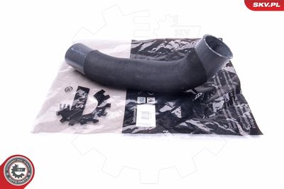 FURTUN EAR SUPRAALIMENTARE