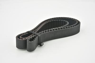 CUREA DE DISTRIBUTIE FEBEST 25140M705 18