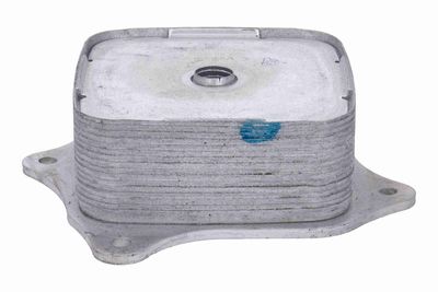 RADIATOR ULEI ULEI MOTOR ACKOJA A26600009 5