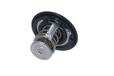 TERMOSTAT LICHID RACIRE NRF 725143 30