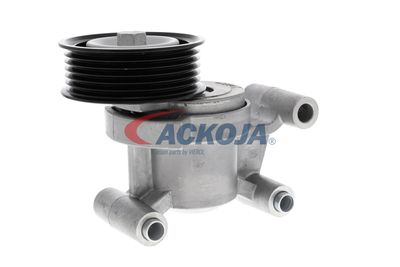 INTINZATOR CUREA CUREA DISTRIBUTIE ACKOJA A320602 56