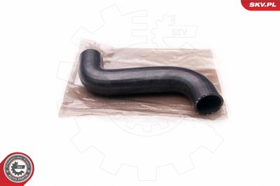 FURTUN EAR SUPRAALIMENTARE