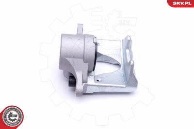 Brake Caliper 50SKV311