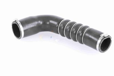 FURTUN EAR SUPRAALIMENTARE VAICO V103794 2