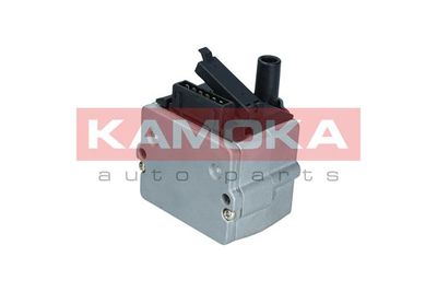 Ignition Coil 7120117