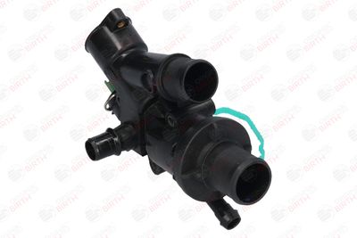 FLANSA LICHID RACIRE BIRTH 8889 3