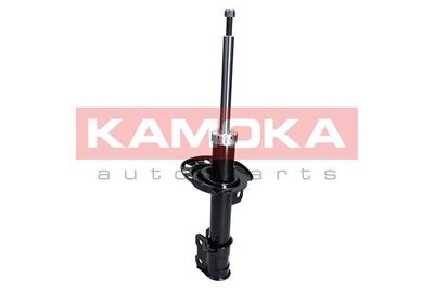 Shock Absorber 2000242