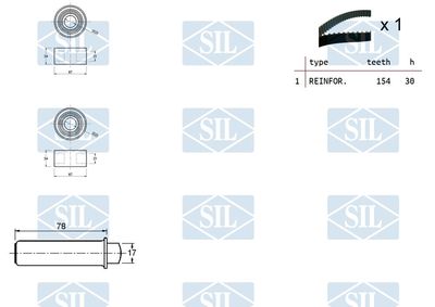 SET CUREA DE DISTRIBUTIE Saleri SIL TK1394 1