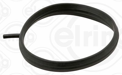 ETANșARE CARCASă CLAPETă