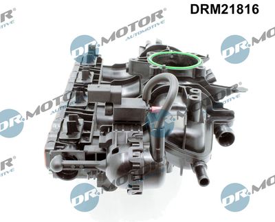 Intake Manifold Module DRM21816
